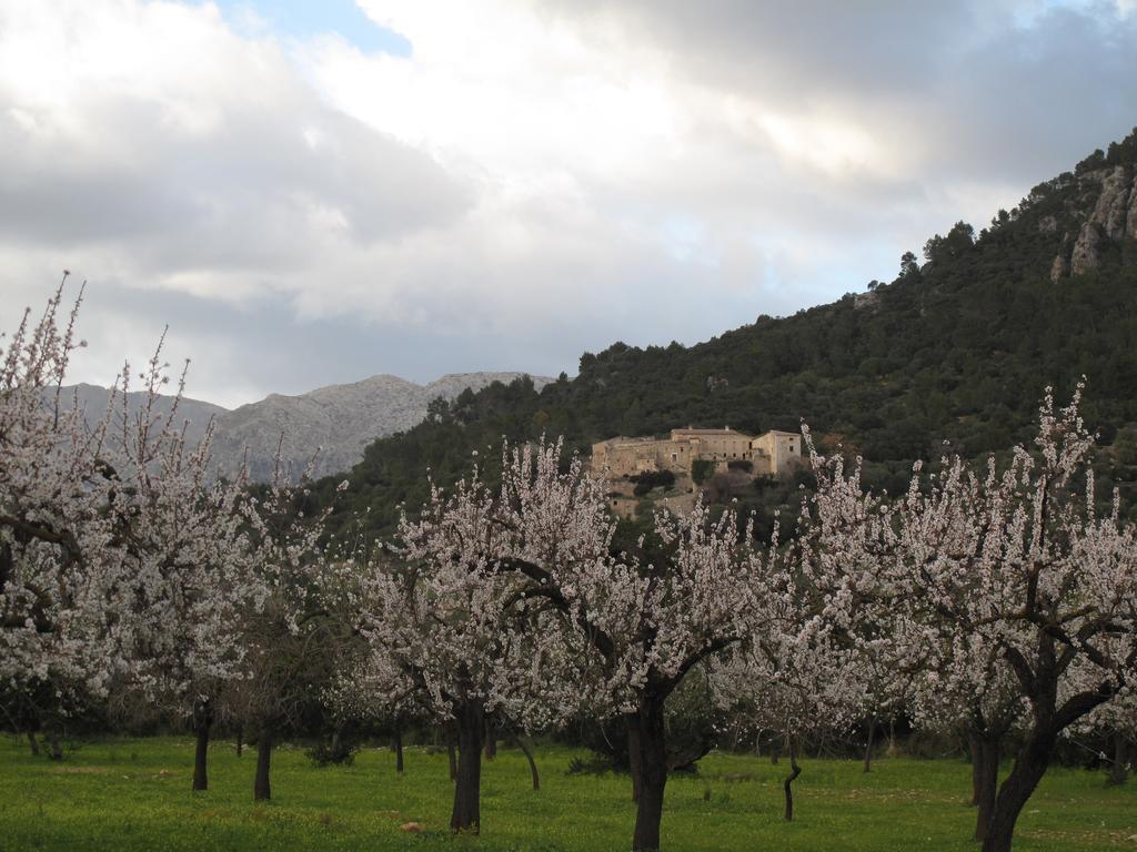 Agroturismo Filicumis By Mhr