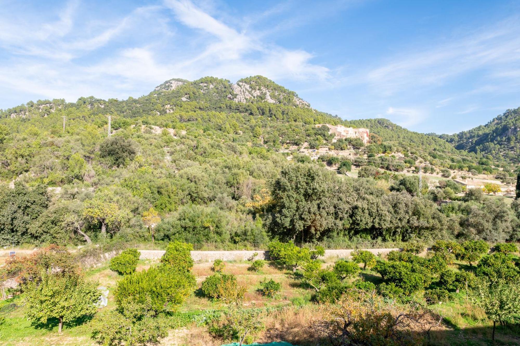 Estada en una granja Agroturismo Filicumis By Mhr Lloseta